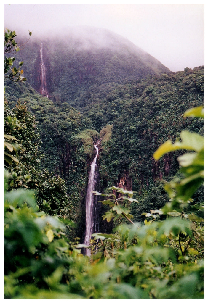 06 - Chutes du Carbet (5).jpg